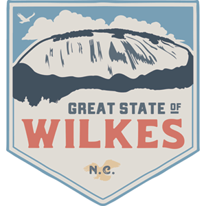 Wilkes TDA logo